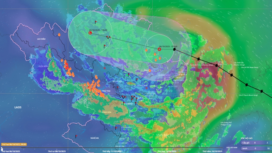 Typhoon Matmo makes landfall, heavy rain forecast for Northern Vietnam
